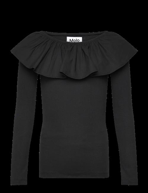 Molo | Renate | 110/116