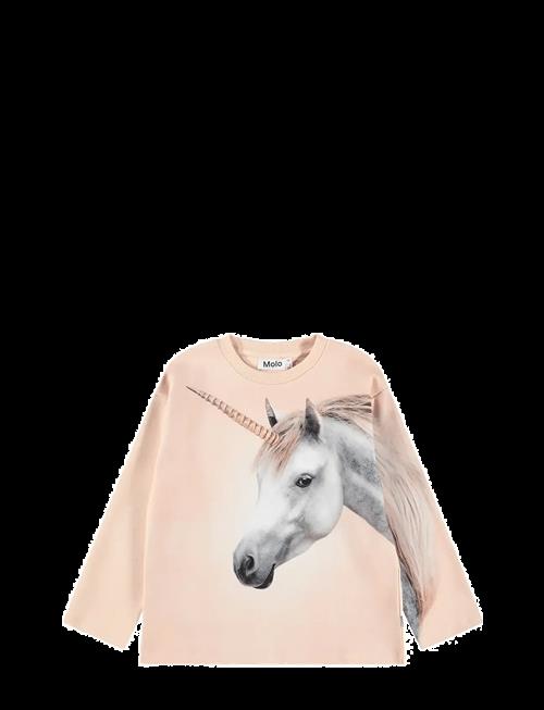 Molo | Mountoo | 152