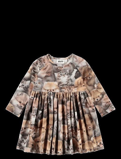 Molo | Charmaine | 98