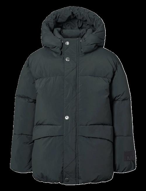 Molo | Hayden | 98