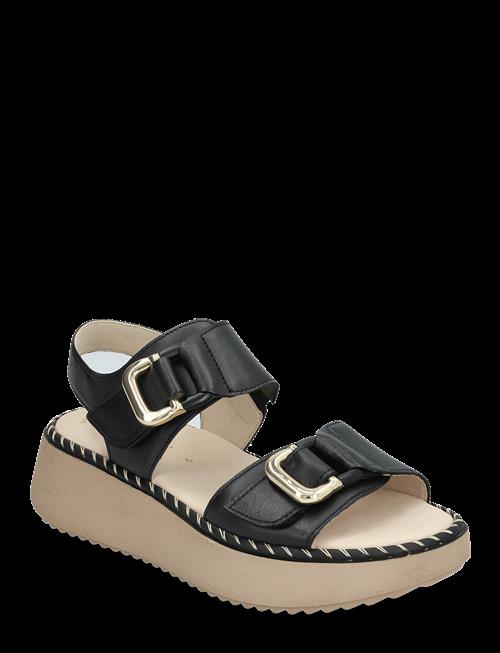 Gabor | Sandal | 40.5