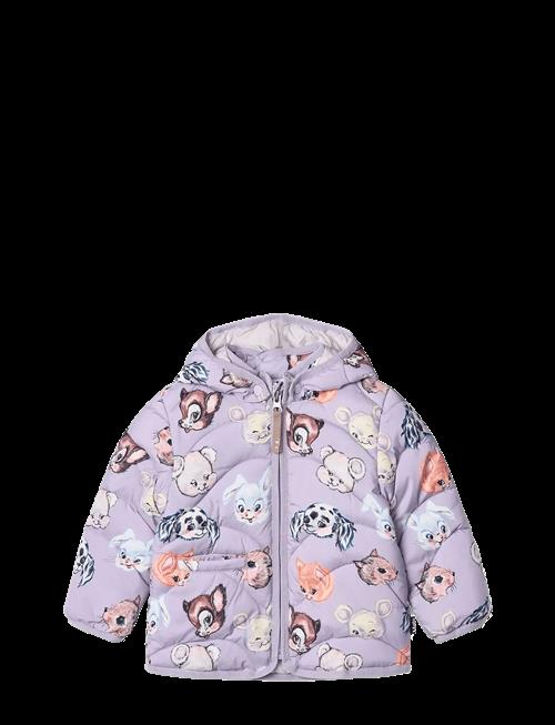 Molo | Harmony | 92