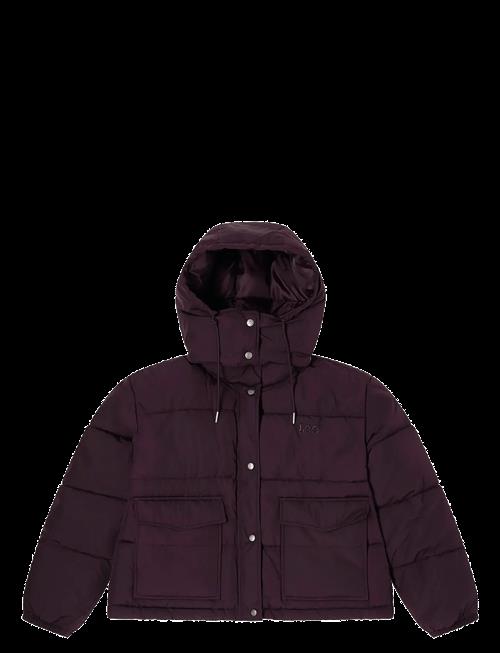Lee Jeans | Short Puffer With Hood | S