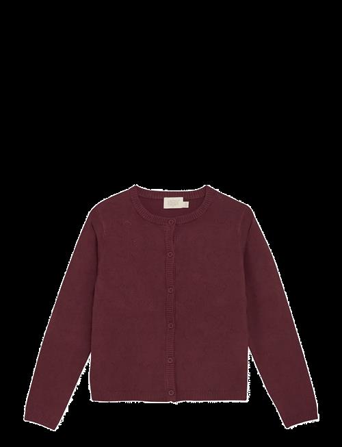 Creamie | Cardigan Pointelle | 98