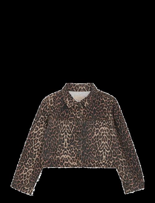 Creamie | Jacket Leo | 122