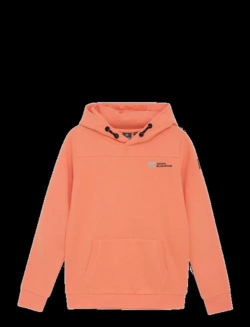 Indian Blue Jeans | Hoodie Kangaroo Pocket | 128