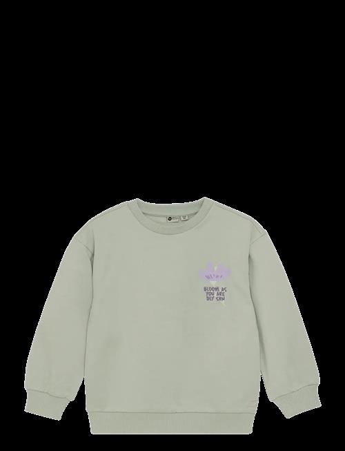 Daily 7 | Sweater Backprint | 80
