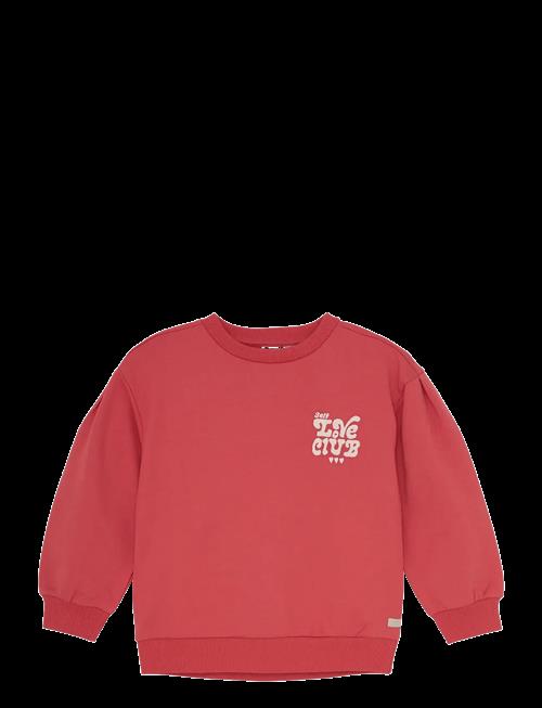 Daily 7 | Sweater Brushed Print | 128