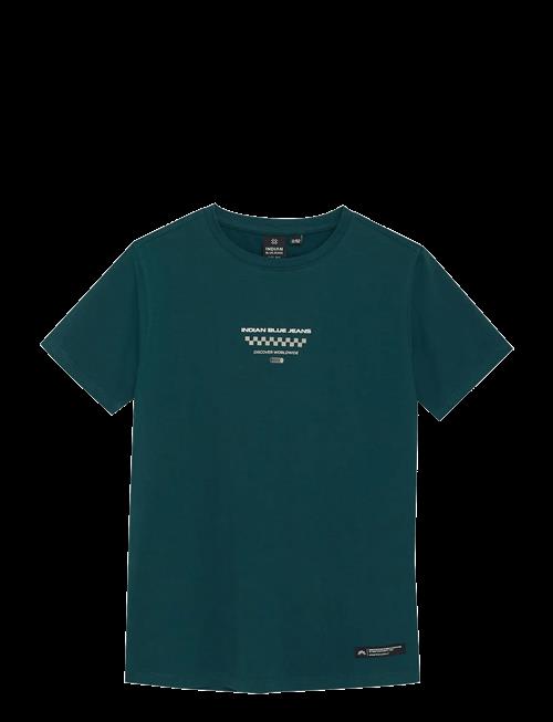 Indian Blue Jeans | T-Shirt Chest And Backprint | 116