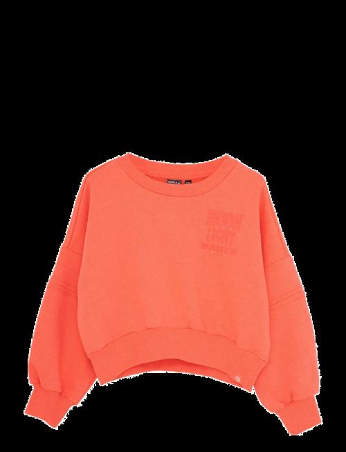 Indian Blue Jeans | Sweater Bright | 140