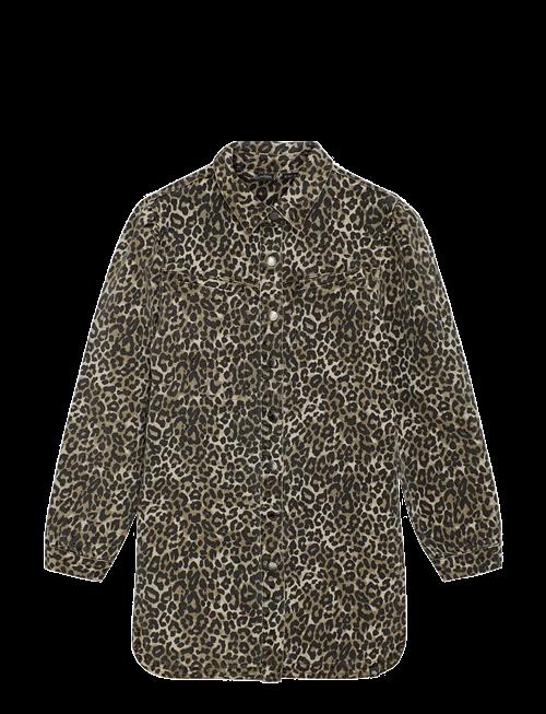 Indian Blue Jeans | Dress Leopard | 110