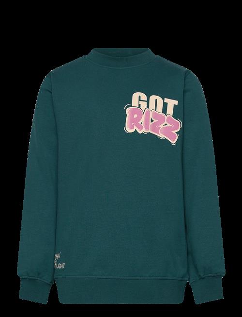 The New | Tnreg Sweatshirt | 110/116