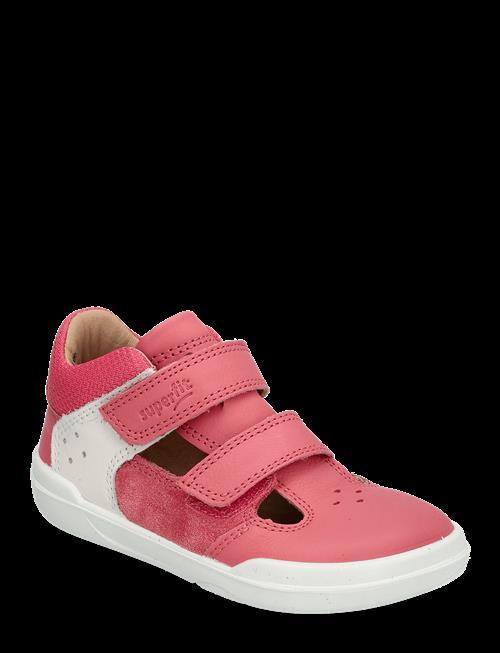 Superfit | Superfree | 20/12.5CM