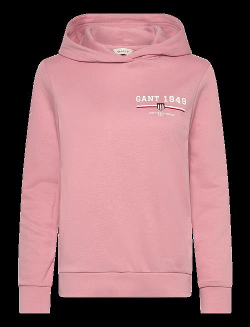 Gant | Reg Graphic Hoodie | XS