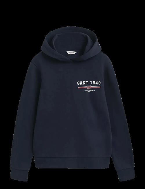 Gant | Reg Graphic Hoodie | S
