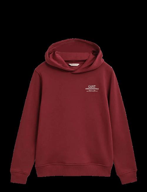 Gant | Graphic Hoodie | 170