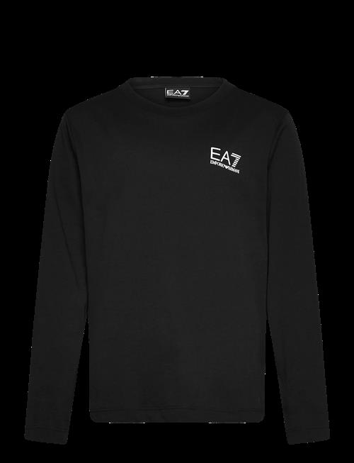 EA7 | T-Shirt | 14 A