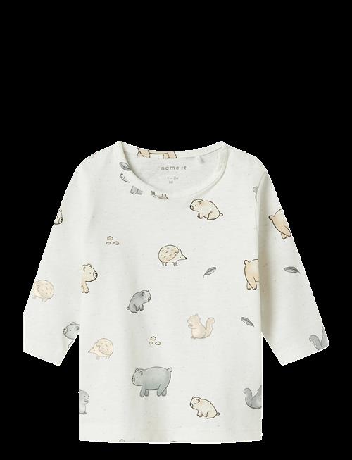 name it | Nbnluma Ls Top | 56