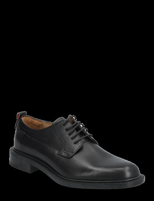 HUGO | Lysander_Derb_Lt | 41