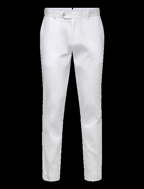 BOSS | C-Genius-Tu-Wg-261F | 50