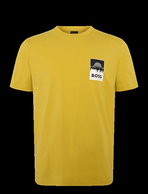 BOSS | Te_Plain | L