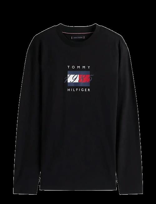 Tommy Hilfiger | Linear Flag Graphic Ls Tee | L