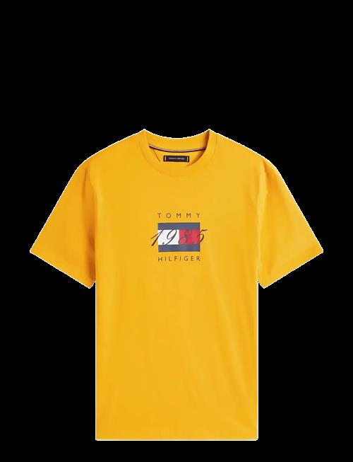 Tommy Hilfiger | Linear Flag Graphic Tee | M