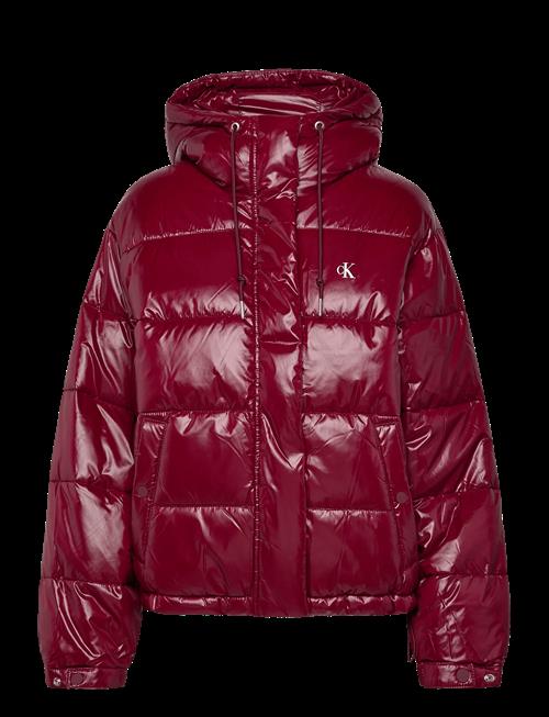 Calvin Klein Jeans | Shine Puffer Jacket | XS
