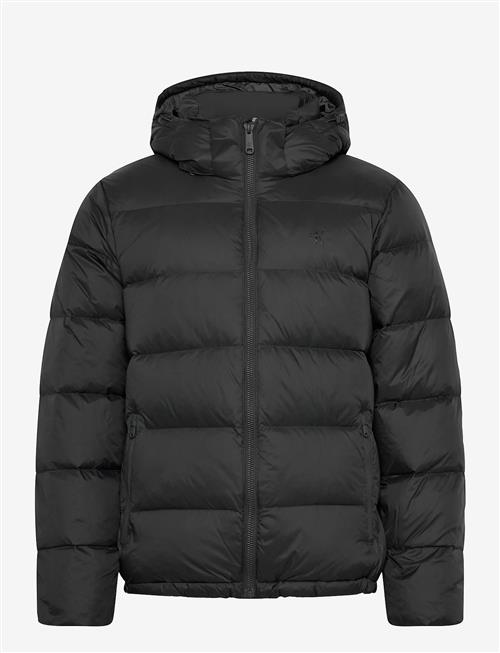 Calvin Klein Jeans | Ls Nylon Zip Off Hood Down Puffe | XS