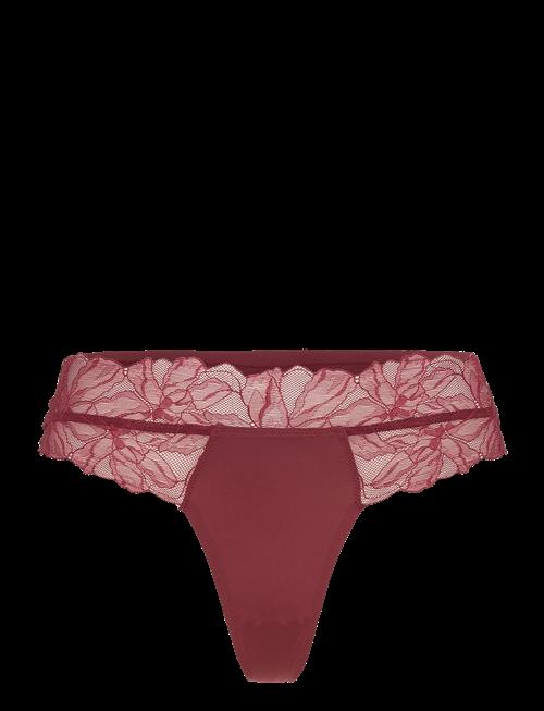 Calvin Klein | Thong | M