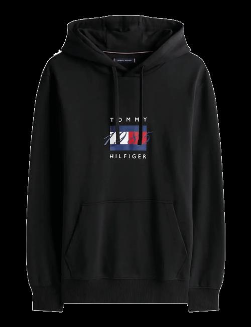 Tommy Hilfiger | Linear Flag Graphic Hoodie | M