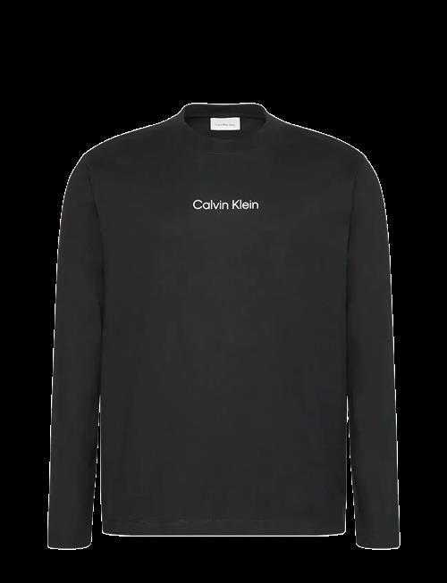 Calvin Klein | Ls Rlxd Standard Logo Crewnk Tee | L
