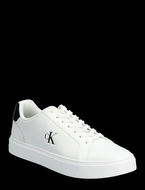 Calvin Klein | Classic Cupsole Laceup Lth | 45