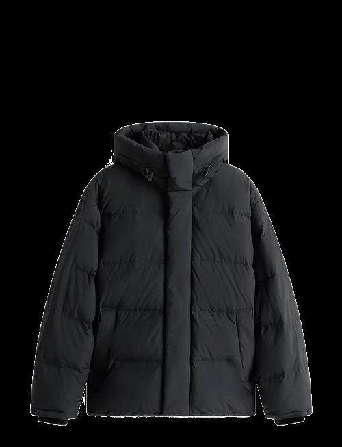 Tommy Jeans | Tjm Hooded Down Puffer | L
