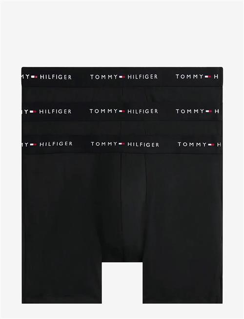 Tommy Hilfiger | 3P Boxer Brief Dtm | XL