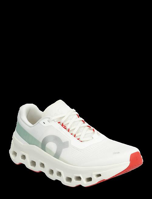 On | Cloudmonster 1 | 46