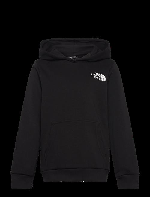 The North Face | Teen Simple Dome Light Reg Hoodie | 115-119