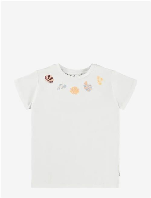 Molo | Ranva | 140