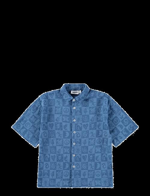 Molo | Richie | 110/116