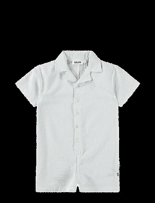 Molo | Falk | 80