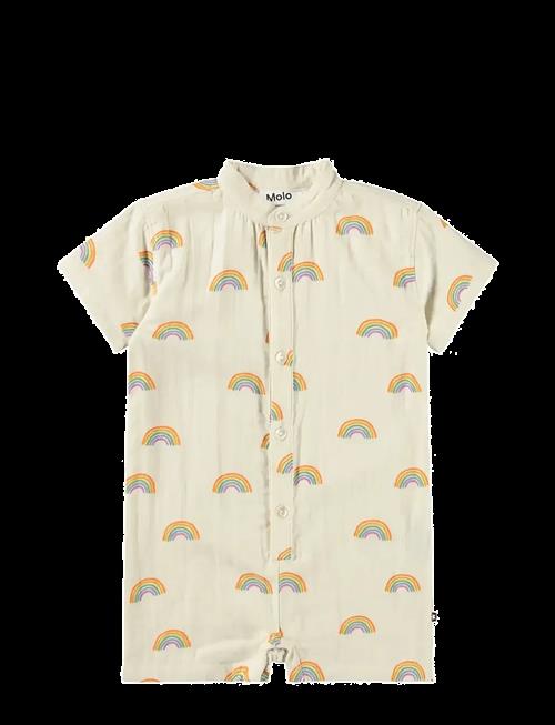 Molo | Falkone | 86