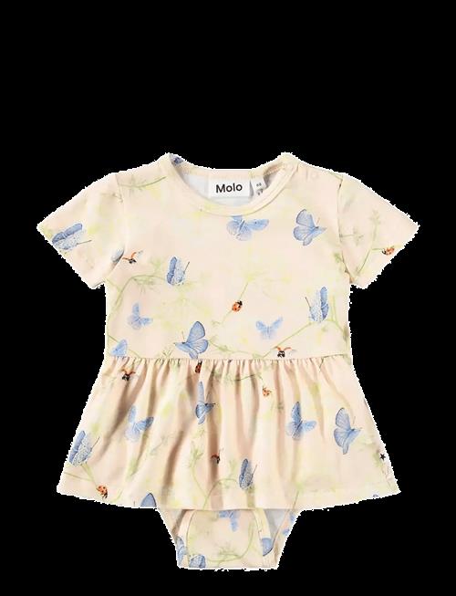 Molo | Frannie | 80