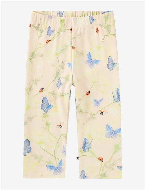 Molo | Stefanie | 62