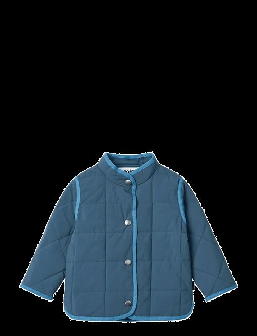 Molo | Harrie | 68