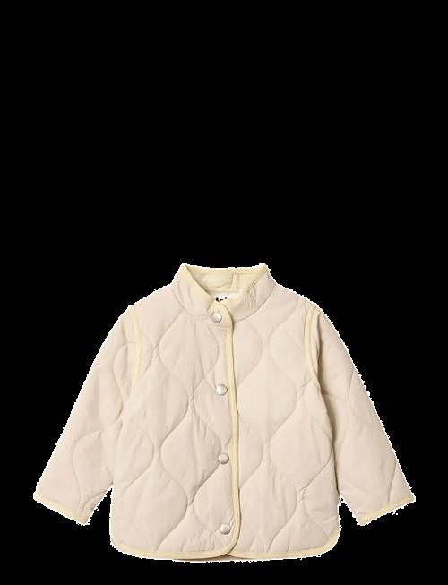 Molo | Harrie | 92