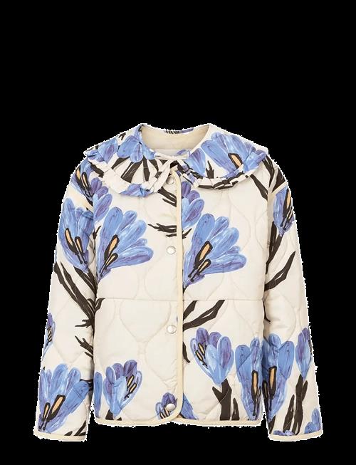 Molo | Hailey | 110