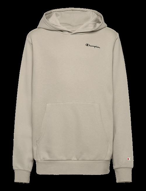 Champion | Hooded Sweatshirt | 104
