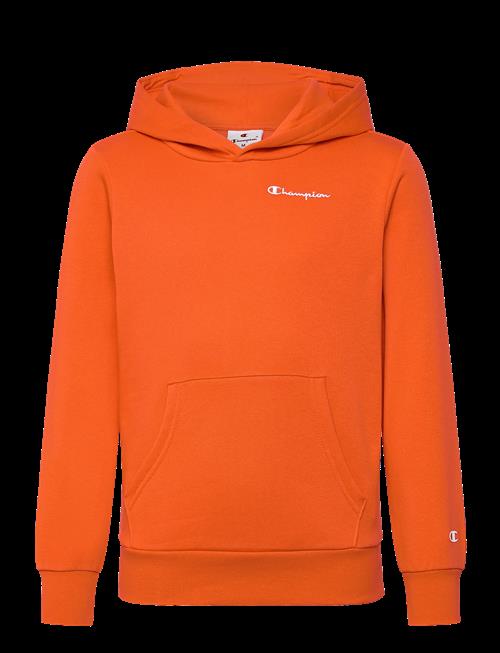 Champion | Hooded Sweatshirt | 164