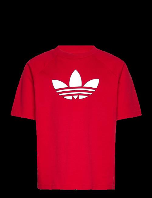 adidas Originals | Gfx Tr Lo Tee | 164