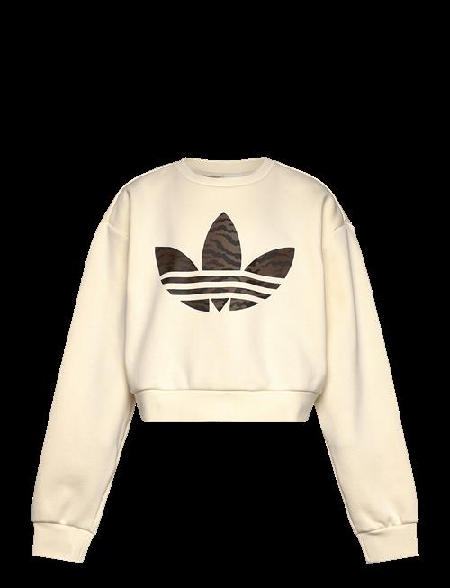 adidas Originals | Boxy Crew | 128